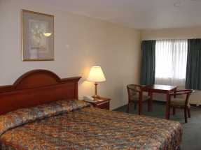 Country Inn Banning - King Standard at Country Inn offers spacious accommodations
